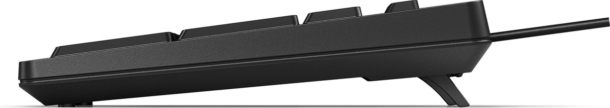 HP 125 G2 USB WD KBD Bulk keyboard Office Black