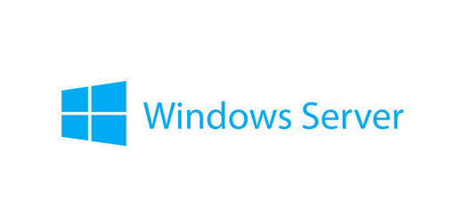 Lenovo Windows Remote Desktop Services CAL 2019 Client Access License (CAL) 50 license(s)