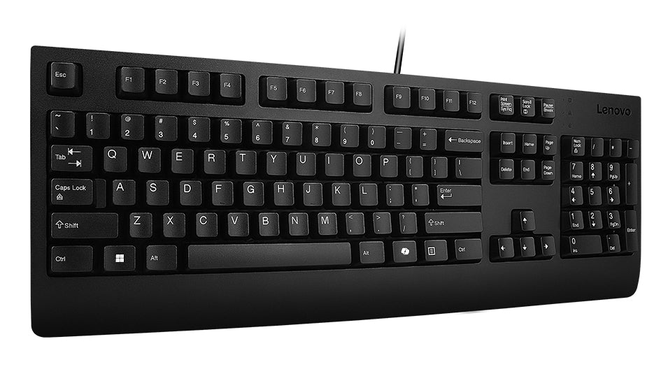 Lenovo Preferred Pro II keyboard Home/Office USB French, German Black