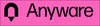 HP 1 Year Anyware Professional License