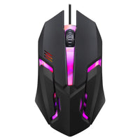 Souris