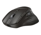 HP B8YX3AA#ABB mouse Home Right-hand Bluetooth + USB Type-C 6000 DPI