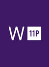 Windows 11 Professional OEM Key