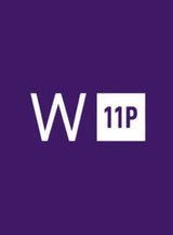 Windows 11 Professional OEM Key